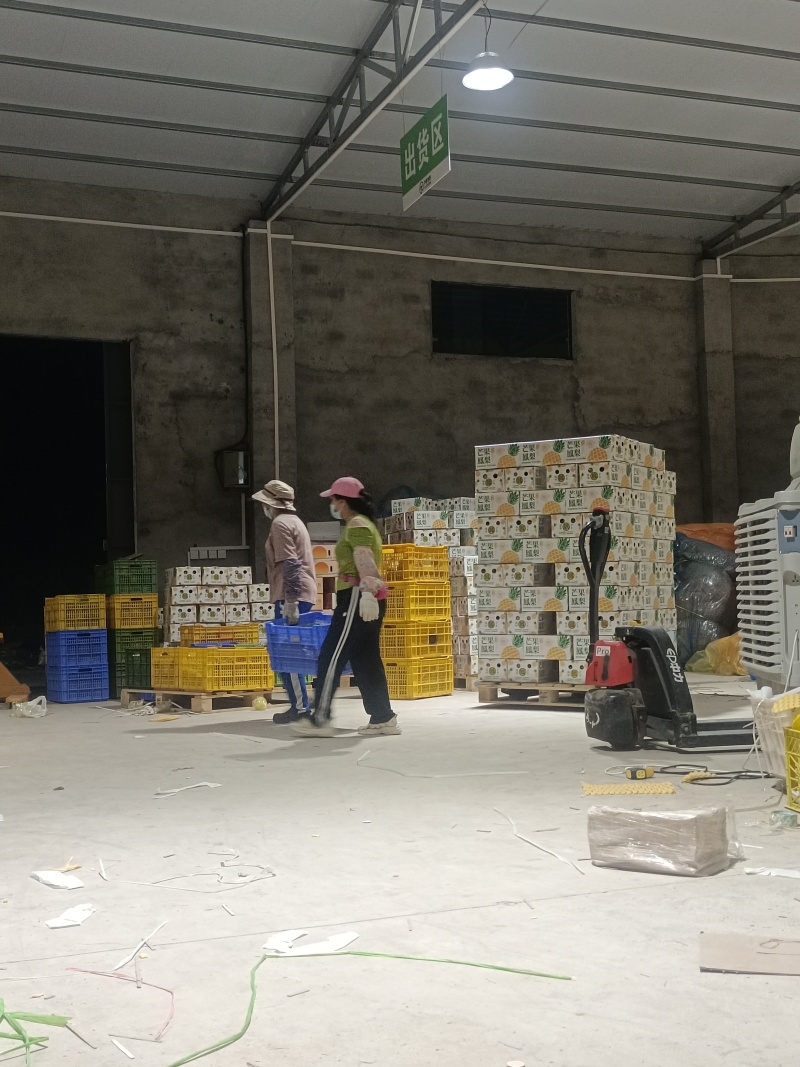 海南芒果凤梨市场商品果全国配货可一件代发