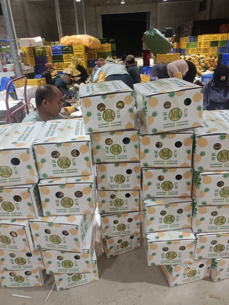 海南芒果凤梨市场商品果全国配货可一件代发