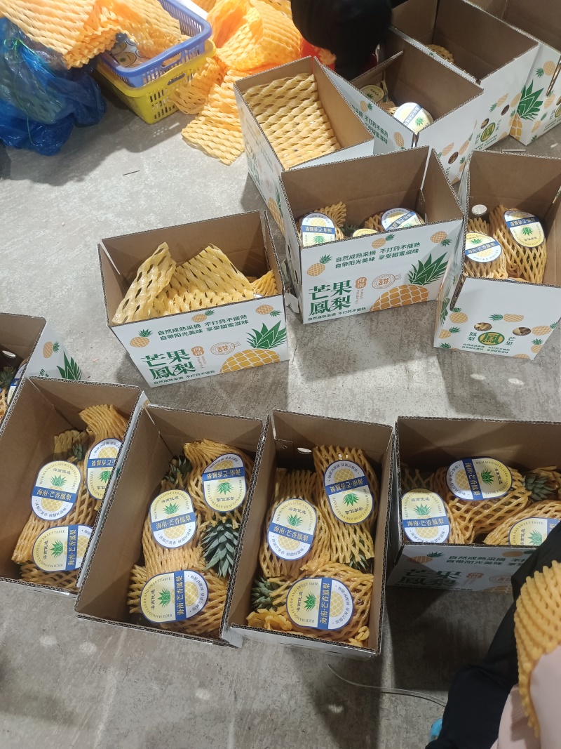 海南芒果凤梨市场商品果全国配货可一件代发