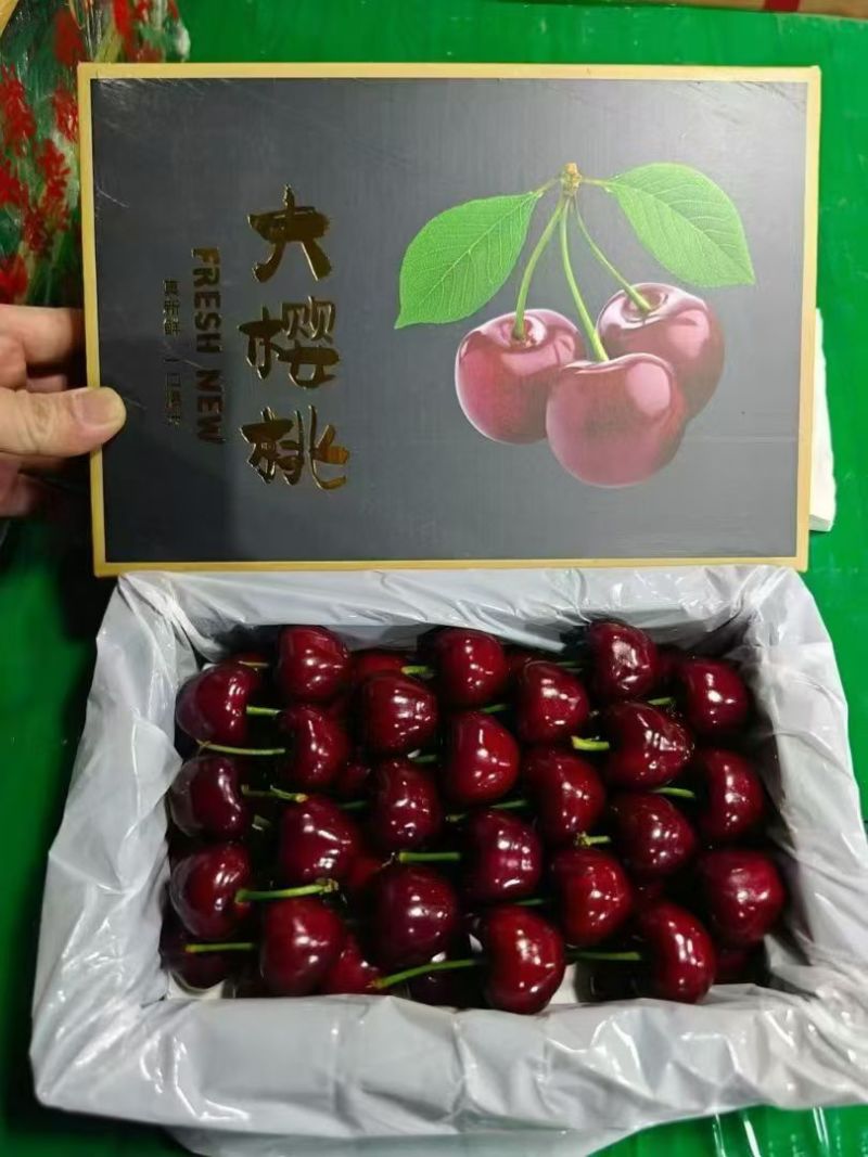 大连美早大樱桃
