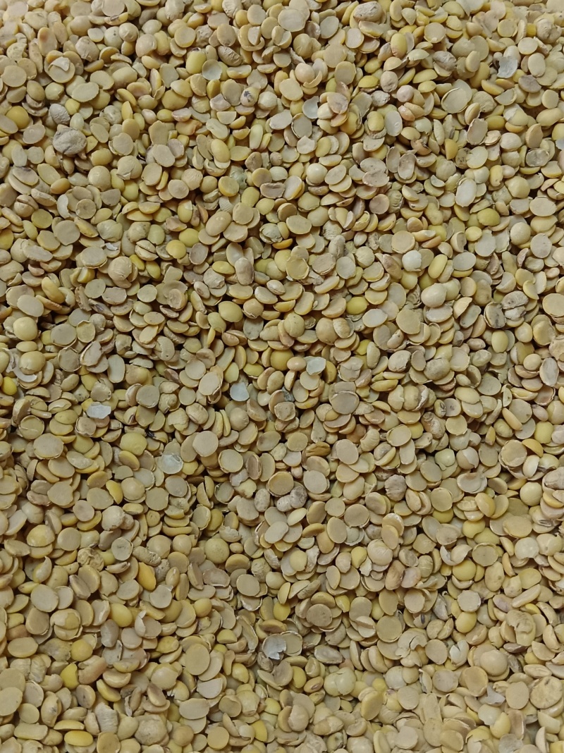 碎黄豆大量现货