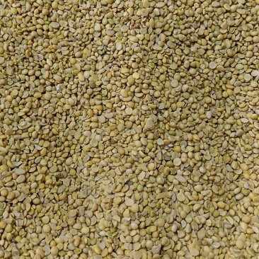 碎黄豆大量现货