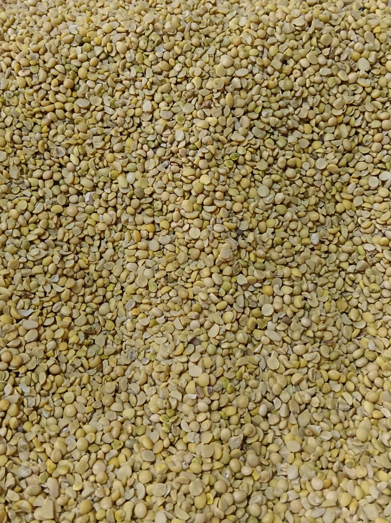 碎黄豆大量现货