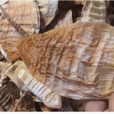 农家春笋干