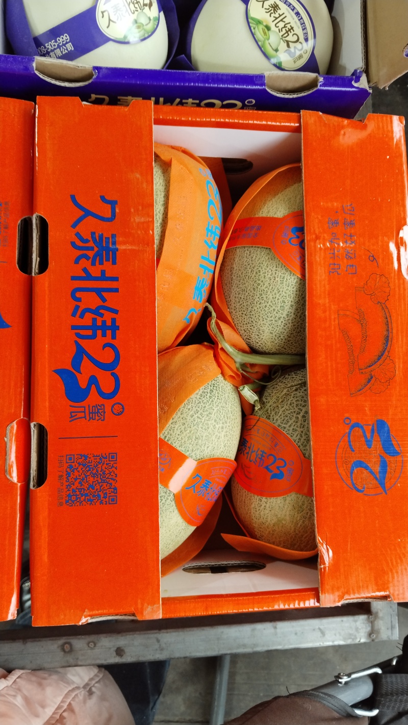 哈密瓜