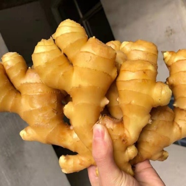 生姜