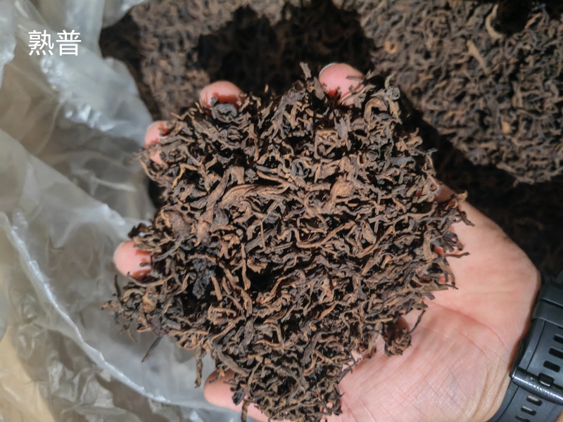 云南普洱，新六大茶山南峤茶山，茶香浓郁，茶味甘甜，果蜜香