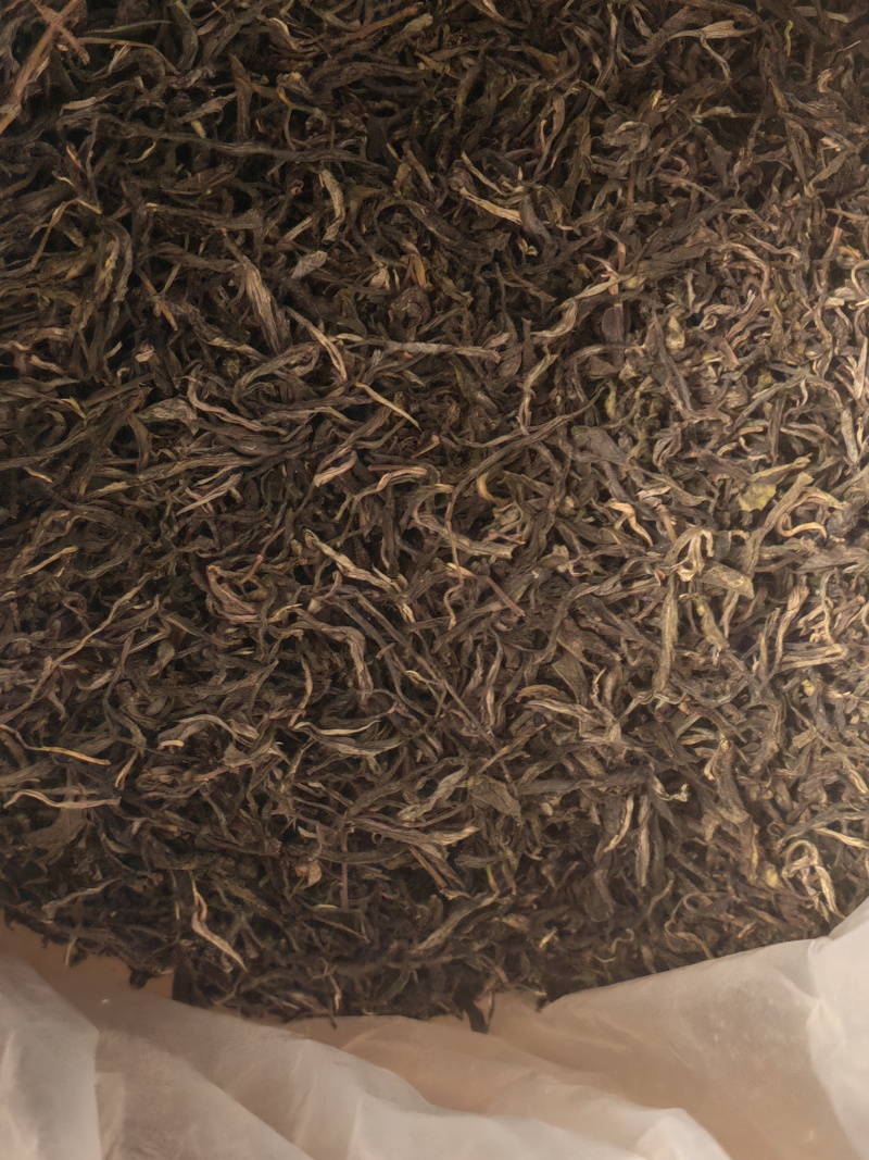 云南普洱，新六大茶山南峤茶山，茶香浓郁，茶味甘甜，果蜜香