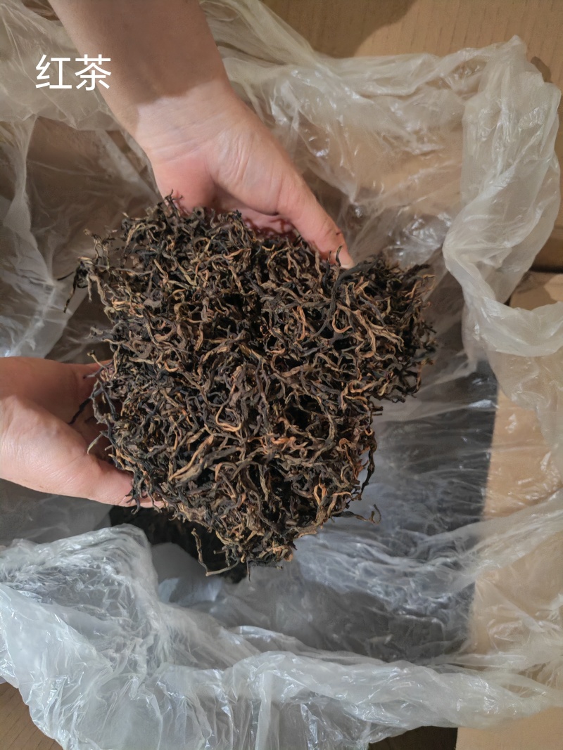 云南普洱，新六大茶山南峤茶山，茶香浓郁，茶味甘甜，果蜜香