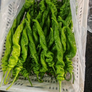 螺丝椒