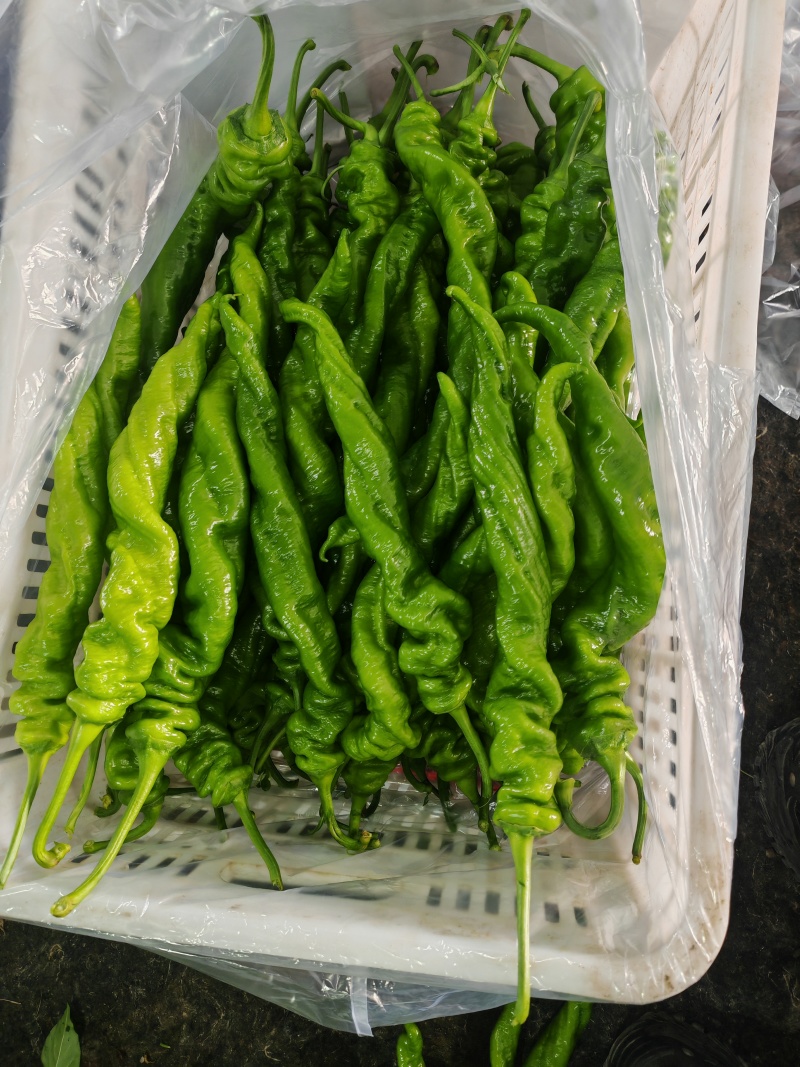 螺丝椒