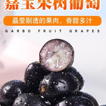 嘉宝果树葡萄