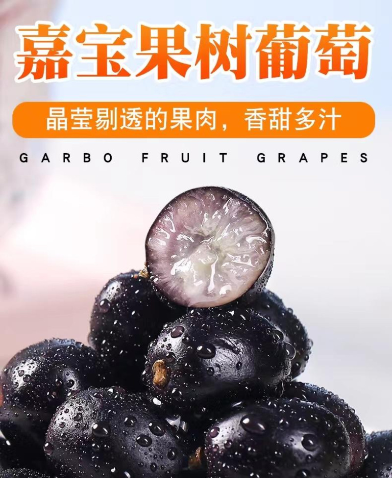 嘉宝果树葡萄