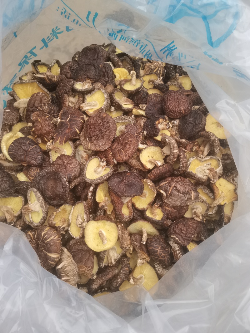 椴木干香菇，人工天然种植，500斤左右
