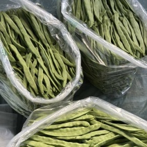 济南商河产区，芸豆，扁青，大扁，精品，通货