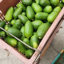 香水柠檬