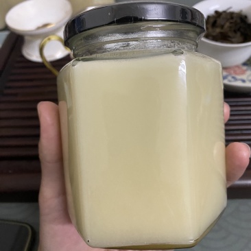 鸭脚木冬蜜