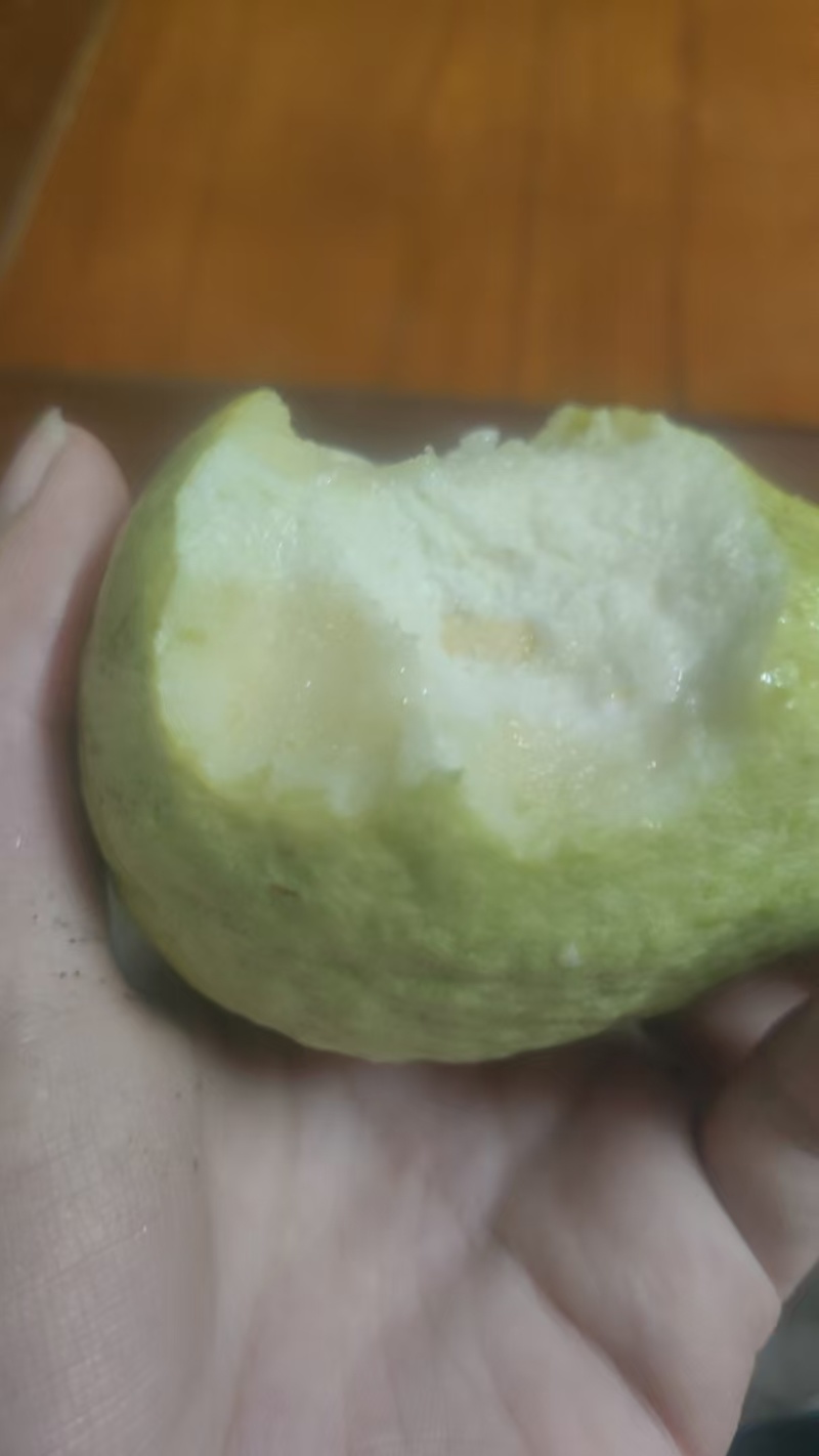 精品红白芭乐（番石榴）