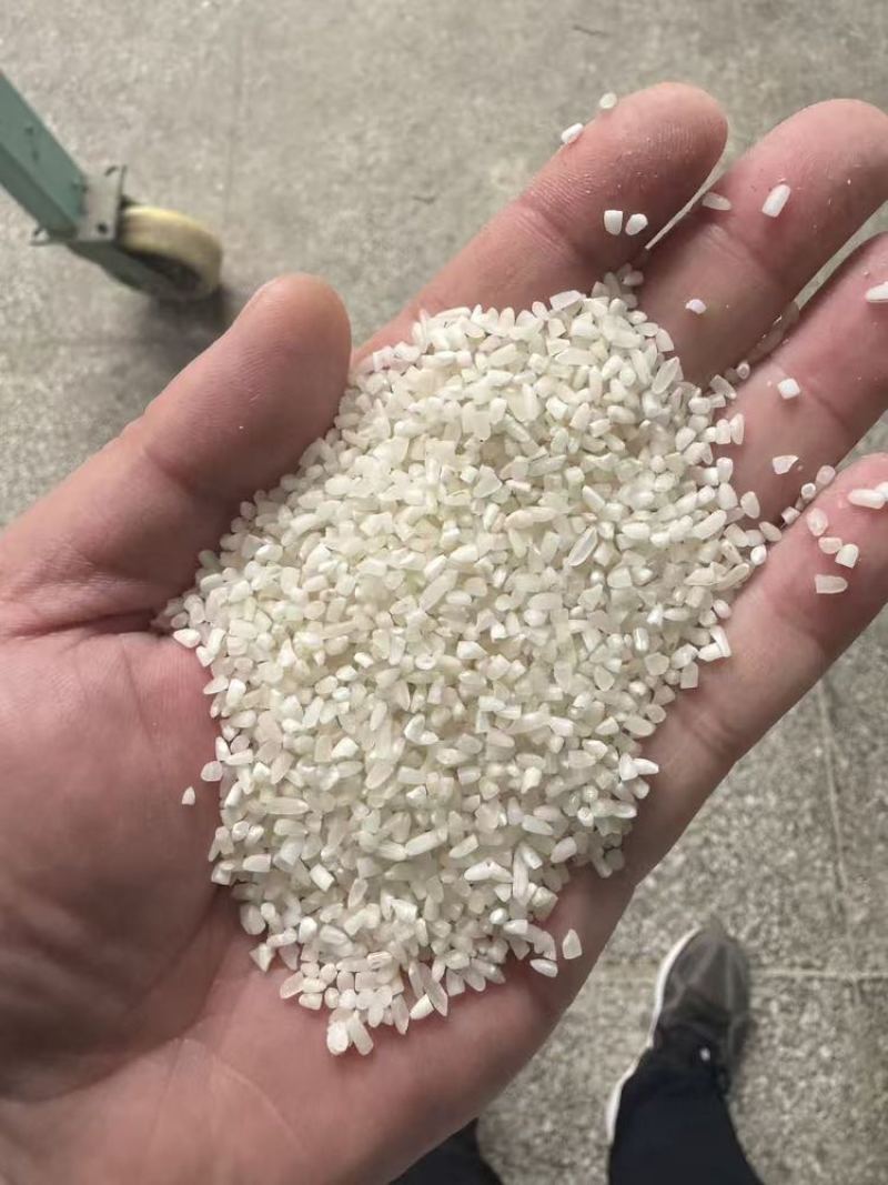 湖北抛光中大碎米