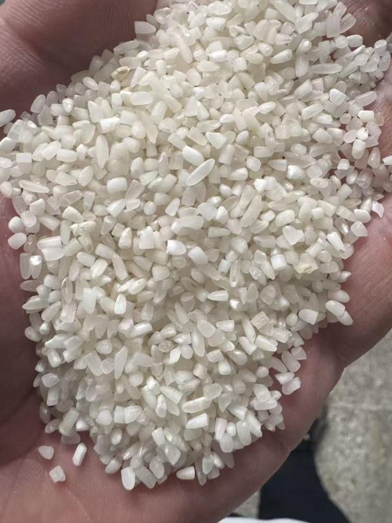 湖北抛光中大碎米