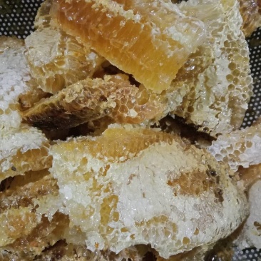 云南野生蜂蜜