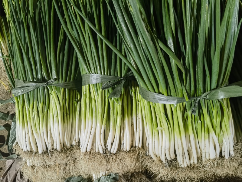 安徽阜阳分葱自家种植大量上市，量大从优，诚信合作，