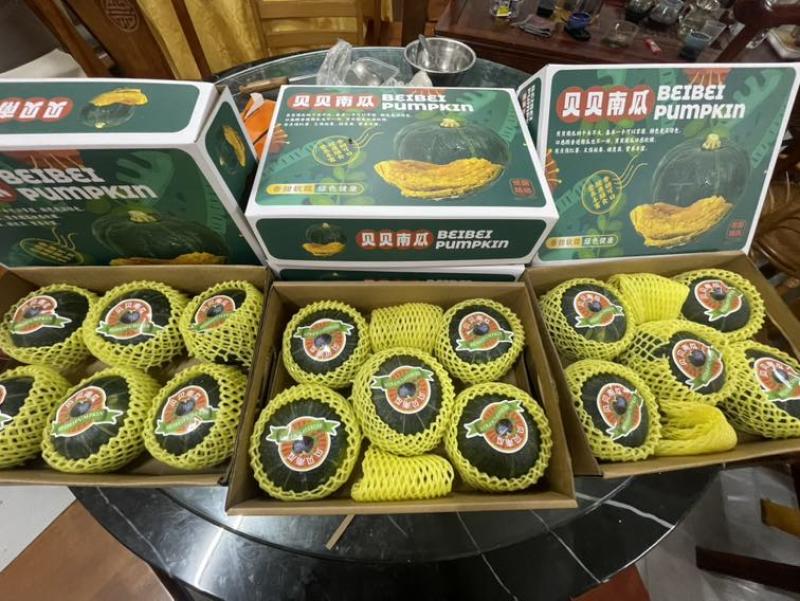 礼盒装贝贝南瓜5斤装一箱