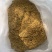 可用于育肥牛羊，鱼发酵料，蛋白35