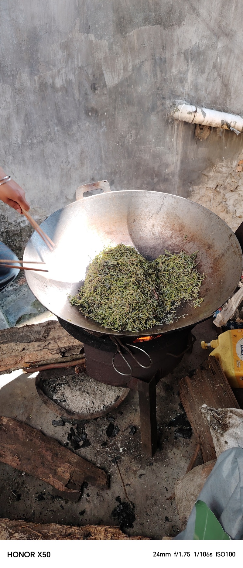 藤茶芽尖源头