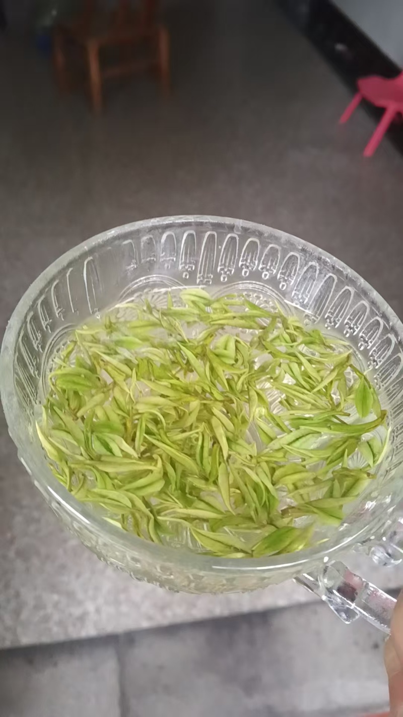 明前高山茶叶