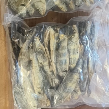 溪流烟熏石斑鱼干（光唇鱼/溪石斑）