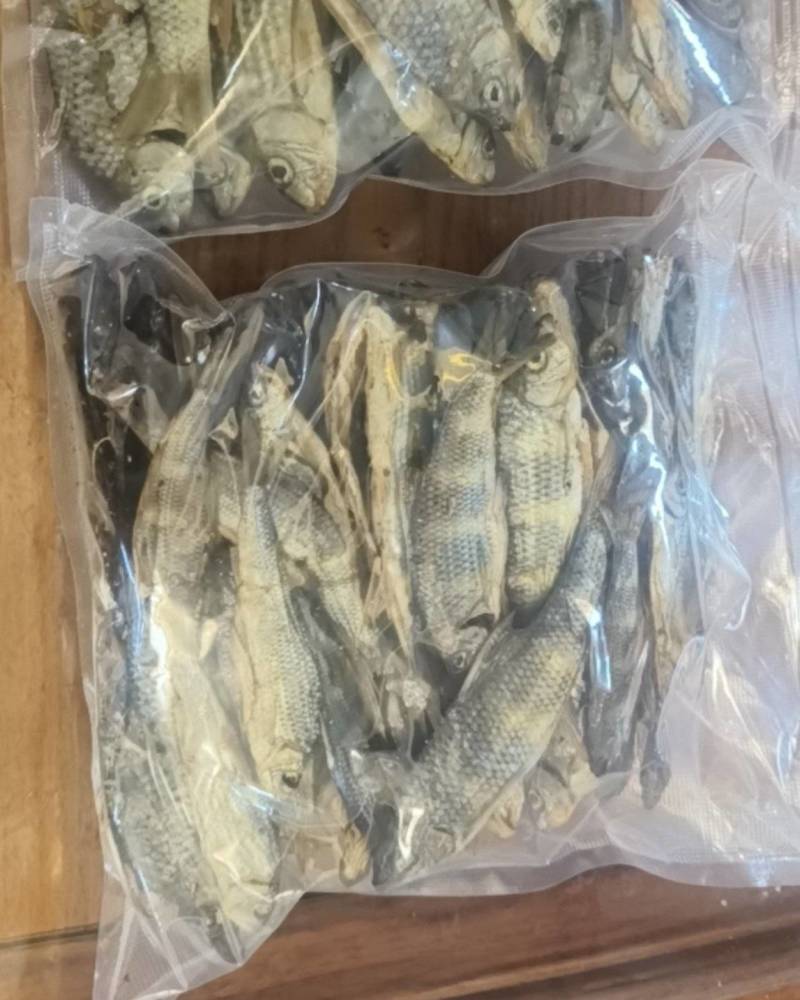溪流烟熏石斑鱼干（光唇鱼/溪石斑）