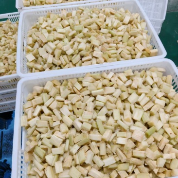甘蔗块量产！欢迎咨询