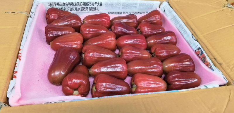 海南莲雾