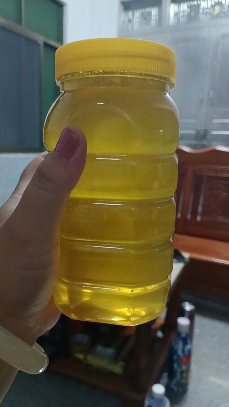 红树林榄蜜
