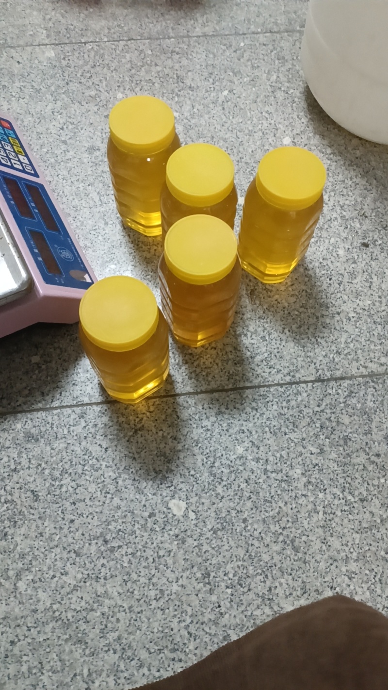 红树林榄蜜