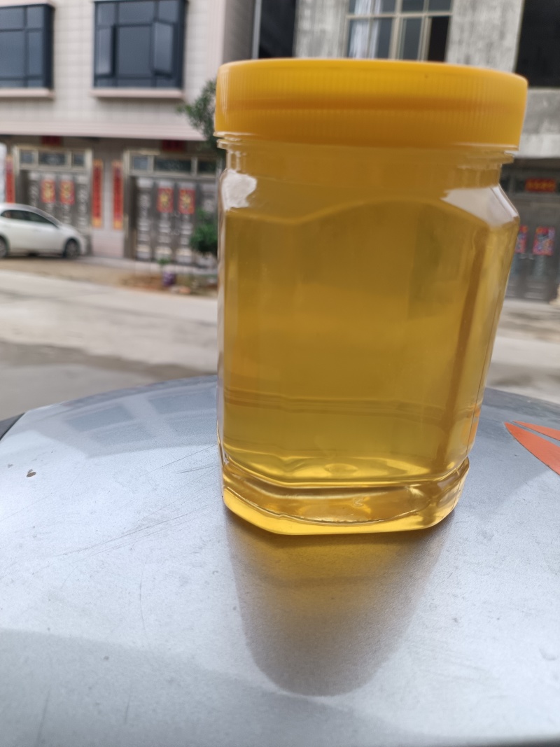 红树林榄蜜
