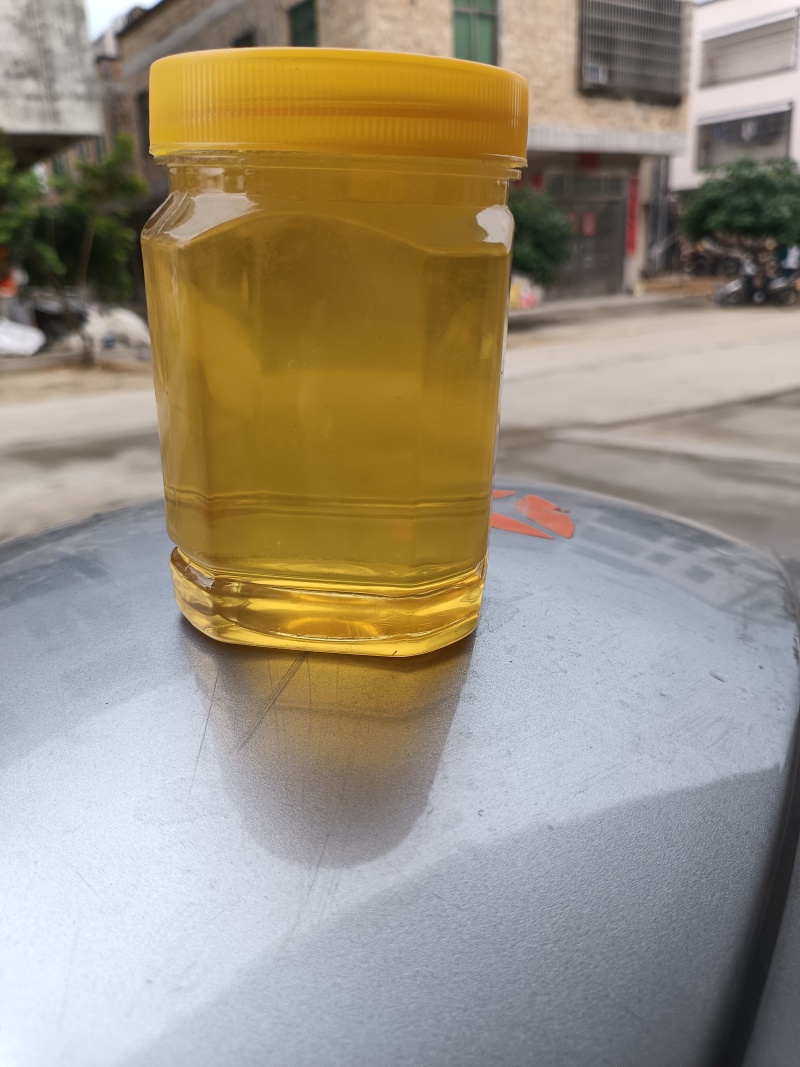 红树林榄蜜