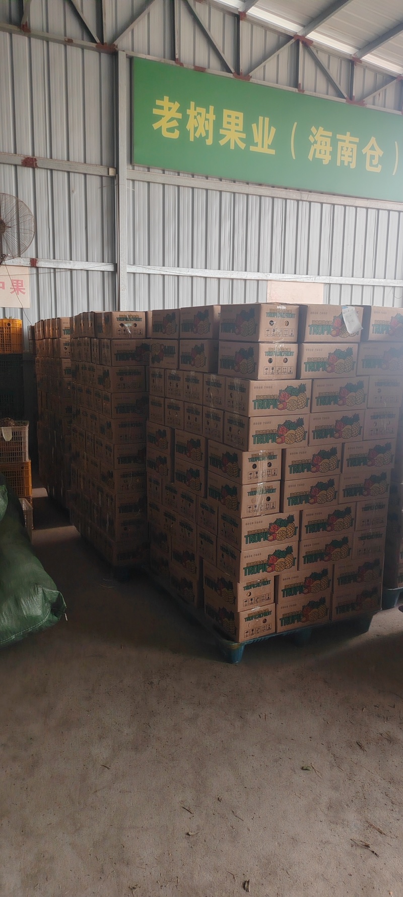 金钻17号凤梨对接各大平台，市场，电商一件代发