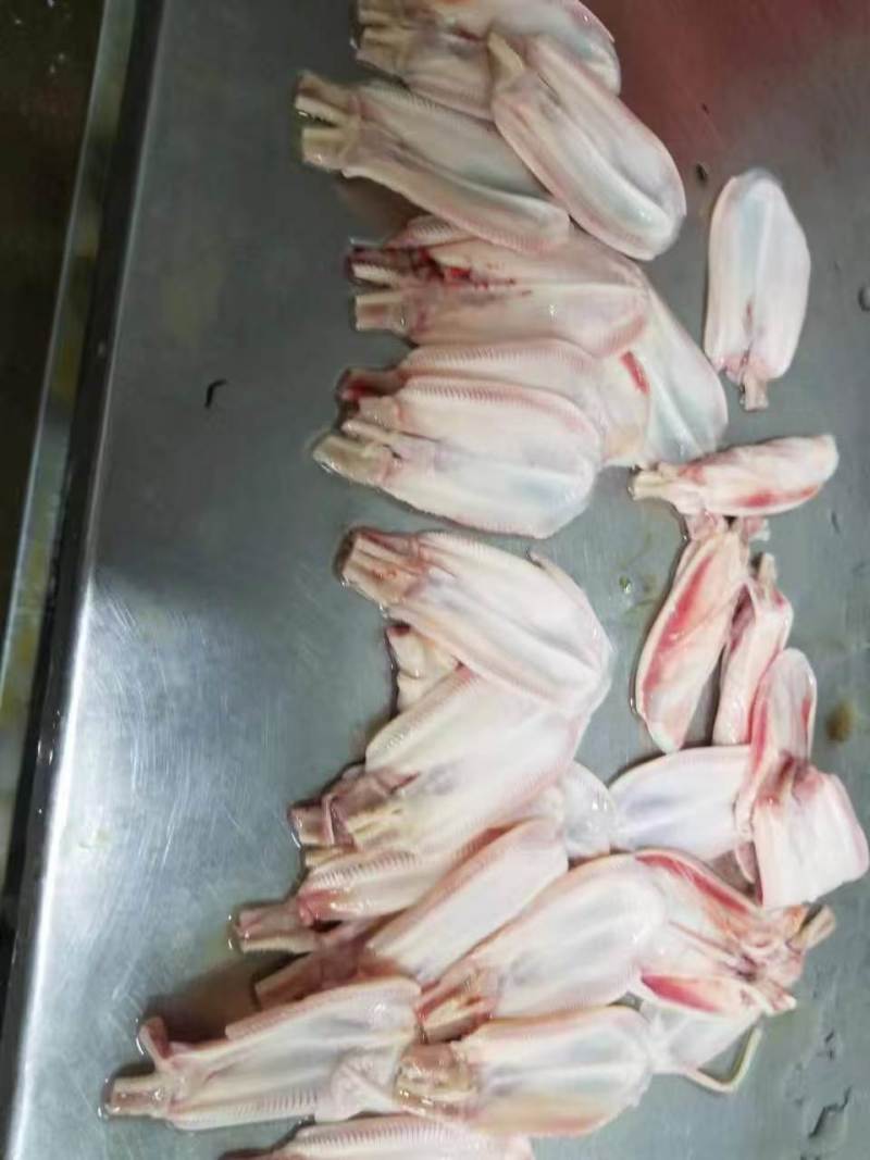 去根鸭天堂2吨