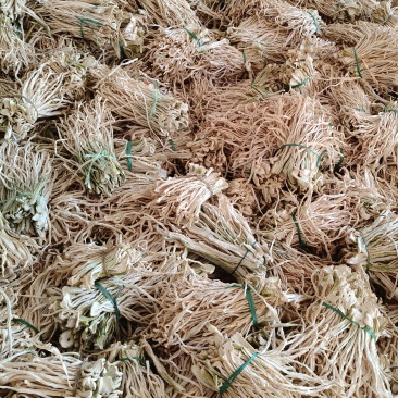 云南萝卜干，萝卜缨子