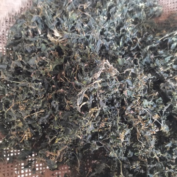 树花菜