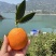 秭归伦晚脐橙通货，选果都有，可以一件代发，批发，整车发货