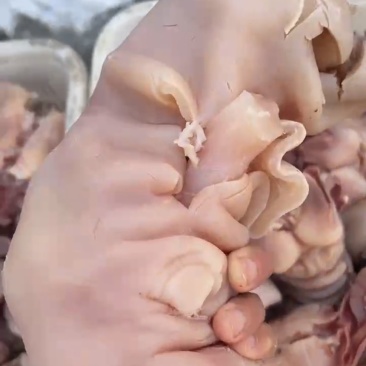 牛蹄肉
