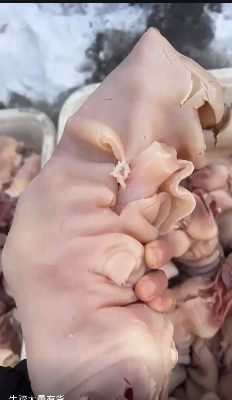 牛蹄肉