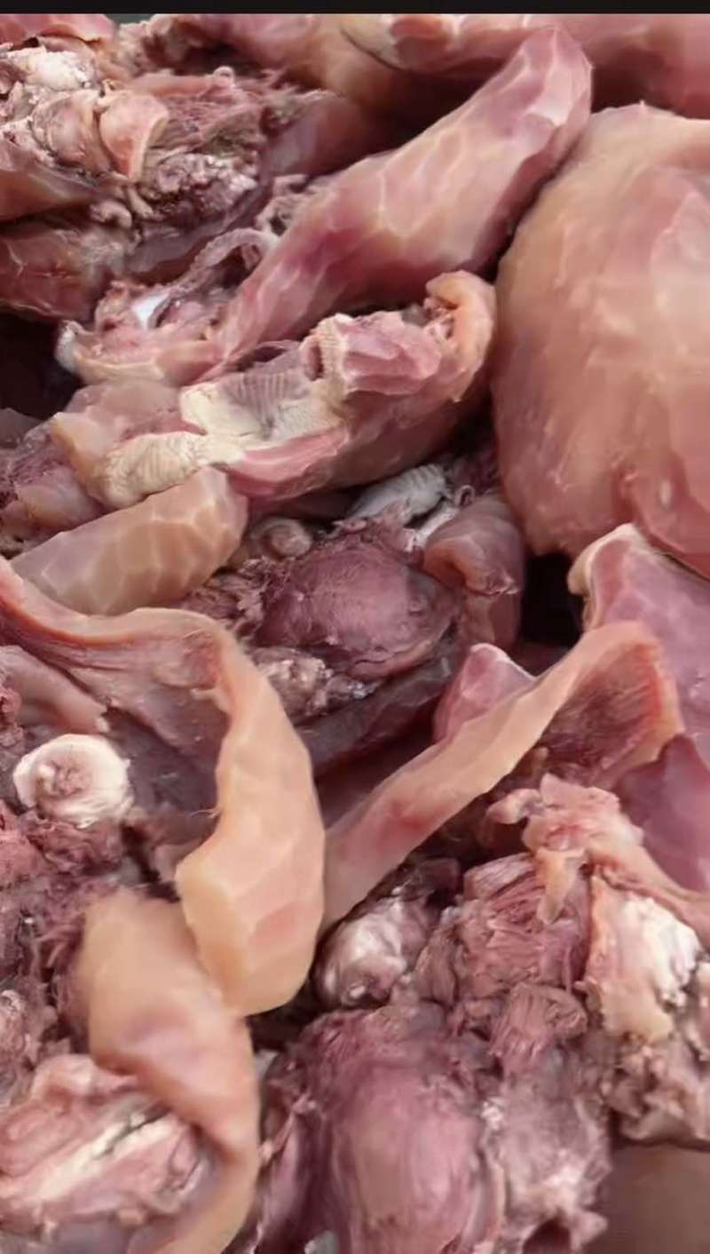 山东临沂精品牛头肉批发源头工厂现货供应配料干净可视频看货