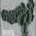 冷压山茶油