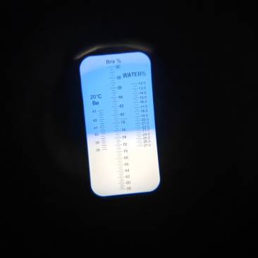 野生悬崖蜜187日2489日7454