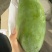越南进口芒果