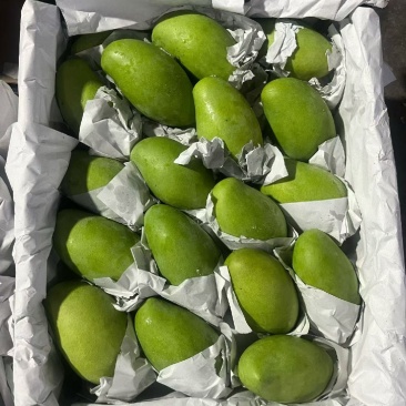 越南进口芒果